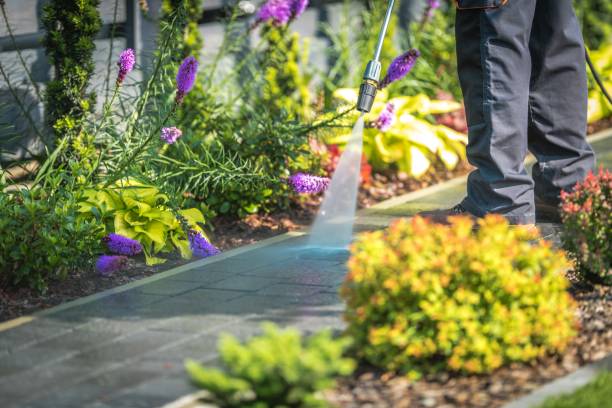 Best Concrete Surface Cleaning in Tampa, FL