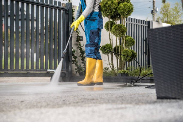 Best Sidewalk and Walkway Pressure Cleaning in Tampa, FL